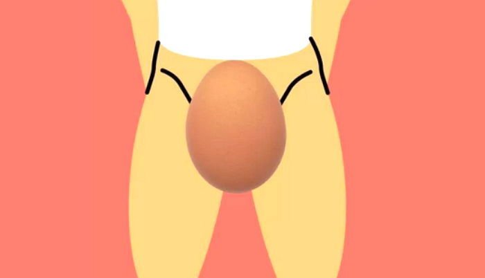 남녀 성기를 지칭하는 특이한 전세계 '성기' 은어 sz5toj8h8v5sa910fepf - 남녀 성기를 지칭하는 특이한 전세계 '성기' 은어