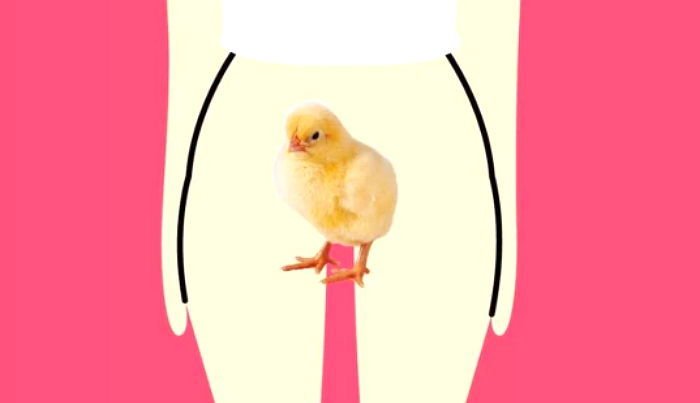 남녀 성기를 지칭하는 특이한 전세계 '성기' 은어 v83d82psi7844z08jze8 - 남녀 성기를 지칭하는 특이한 전세계 '성기' 은어
