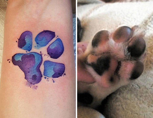 awebic-tatuagens-cachorros13