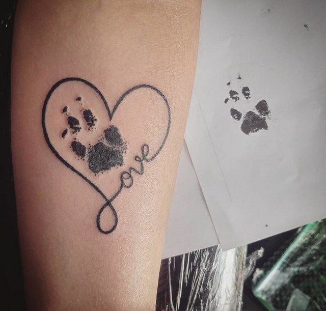 awebic-tatuagens-cachorros14