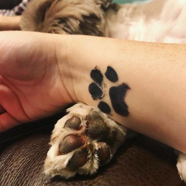 awebic-tatuagens-cachorros22