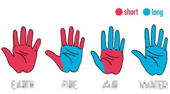 手のひら 指は長い 短い 手の形での性格診断方法 Hachibachi