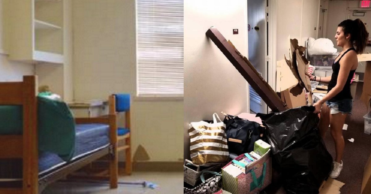 eca09cebaaa9 ec9786ec9d8c 24.png?resize=412,232 - Displeased Students Transformed Boring Dorm Room In A Lively Retreat