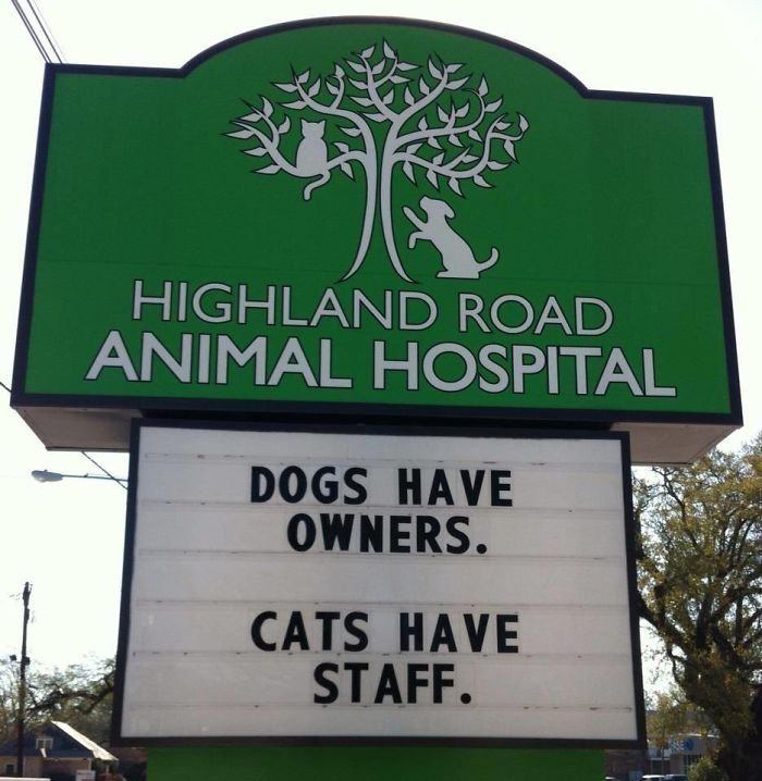 funny veterinarian signs 59ae5406674d5  700.jpg?resize=412,232 - Genius Vet Signs That Will Make You Laugh