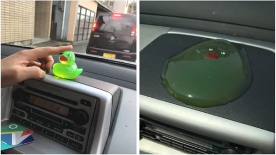 25 People Who Weren't Smart Enough As They Thought people who werent quite clever 3d2d5d1d a3e5 4f16 8f7f 0667c84065c1 - 25 People Who Weren't Smart Enough As They Thought