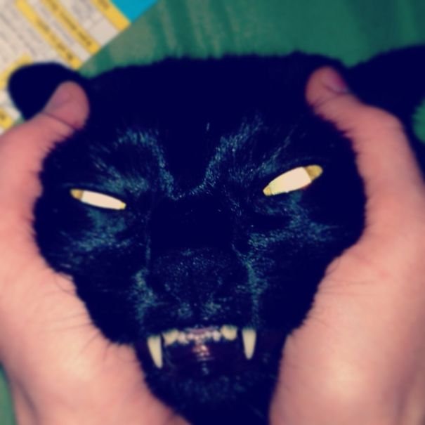 My Demon Cat