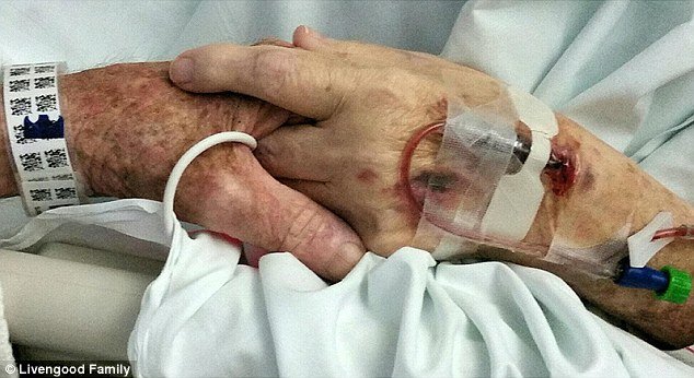 386f930800000578 3792849 image a 16 1474032974607.jpg?resize=412,275 - Husband And Wife Die Holding Hands On The Same Day After Their 59 Marriage