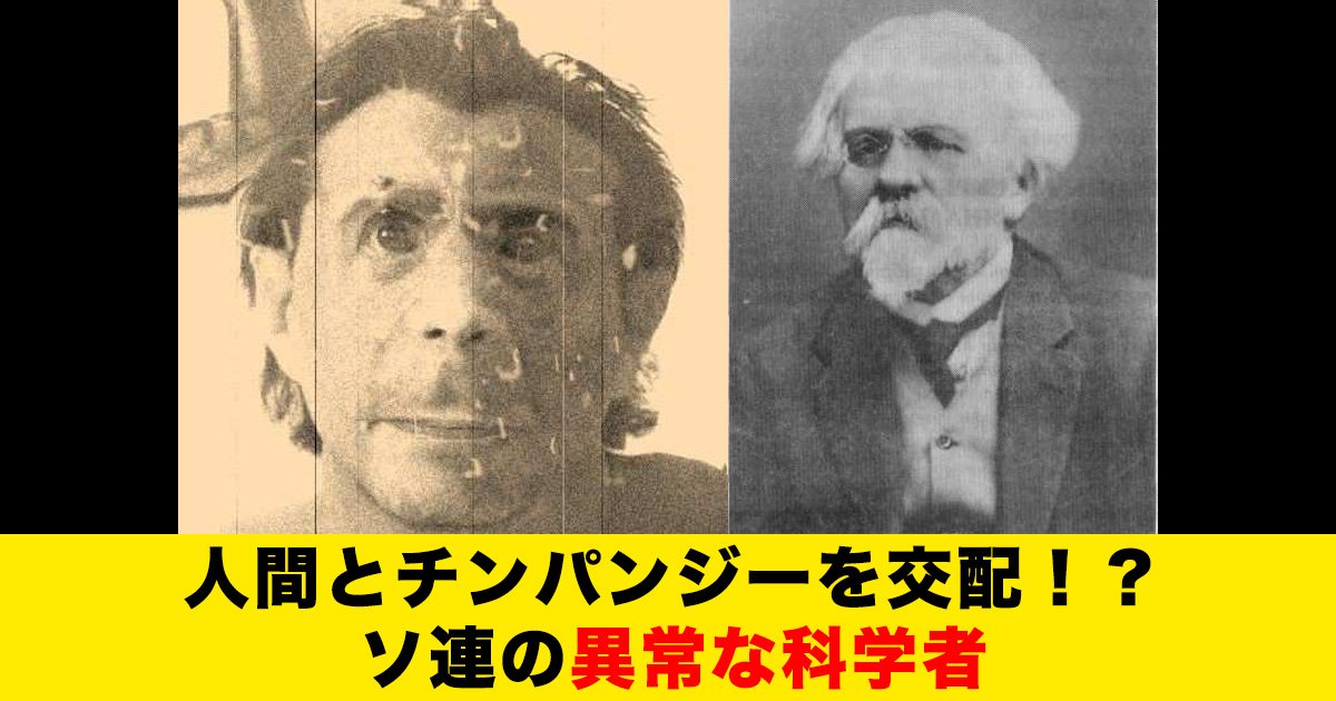 人間とチンパンジーを交配させようとした異常な科学者 Hachibachi