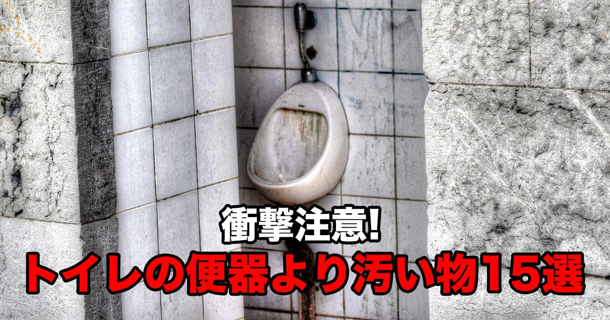 衝撃注意 トイレの便器より汚い物１５選 Hachibachi