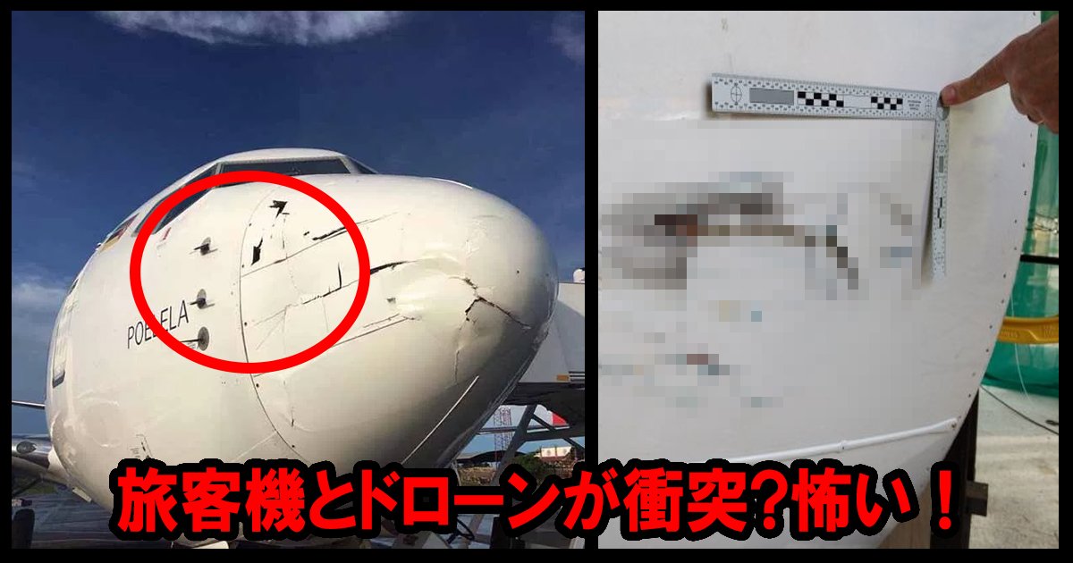 airplane ttl 1.jpg?resize=412,275 - 旅客機とドローンが衝突！幸い「軽い損傷」で無事着陸