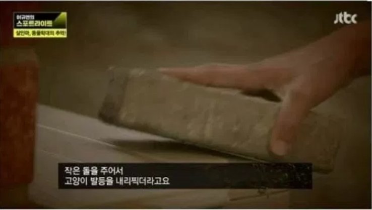 JTBC ‘이규연의 스포트라이트’