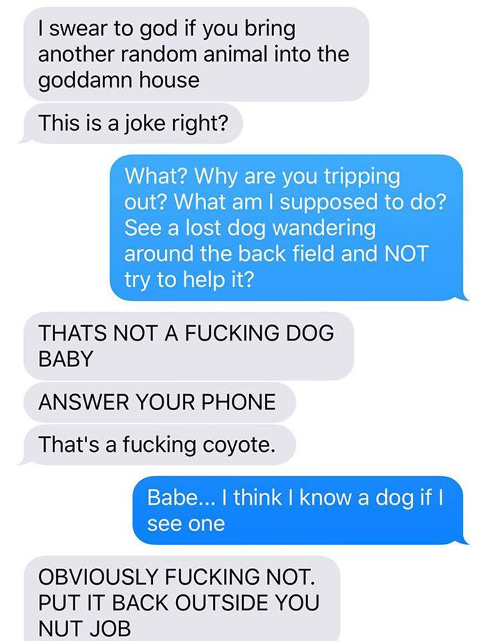 husband-freaks-out-after-his-wife-texts-him-she-brought-a-dog-home-while-the-pic-shows-its-coyote-5842a59b1ae58__700