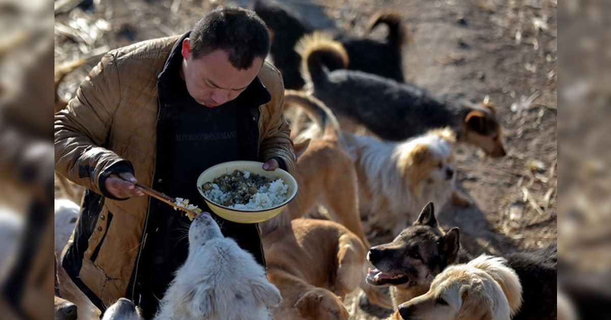 portada 16.jpg?resize=412,275 - Tras perder a su perro, joven millonario chino dedica su fortuna al rescate de perros callejeros.