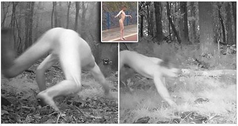 screen shot 2017 10 23 at 3 42 45 pm.png?resize=412,275 - Hidden camera snaps a naked man high on LSD who thought he was a tiger