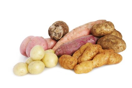 A variety of raw potatoes, isolated on white. Includes desiree, red-skinned, sweet potato, kipfler, unwashed, baby, taro.