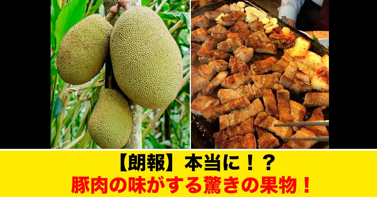 88 93.jpg?resize=412,275 - 【朗報】本当に！？豚肉の味がする驚きの果物！