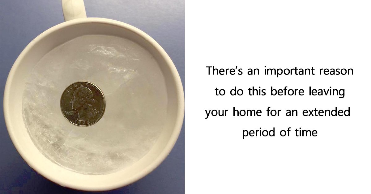 ec8db8eb84ac ebb3b5eab5aceb90a8.jpg?resize=1200,630 - Putting A Quarter On Frozen Cup Of Water Before Leaving Home Can Help Save Your Food In Case Of Power Outage