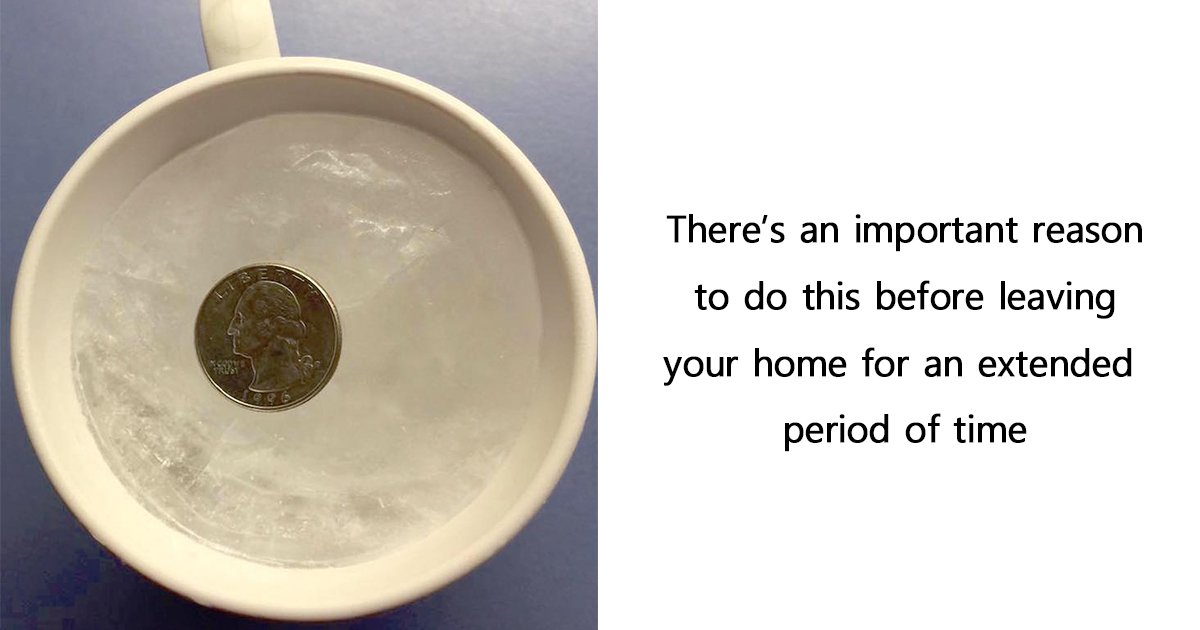 ec8db8eb84ac ebb3b5eab5aceb90a8.jpg?resize=412,275 - Putting A Quarter On Frozen Cup Of Water Before Leaving Home Can Help Save Your Food In Case Of Power Outage