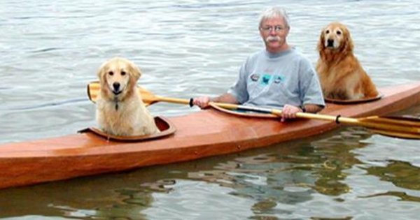 kayak 2.png?resize=412,232 - Retired Man Builds Special Kayak To Share His Favorite With His Dogs