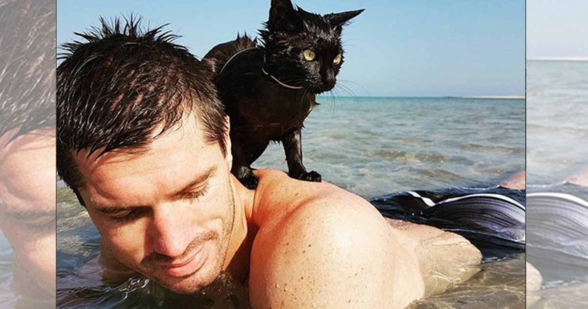 mainphoto nathan.jpeg?resize=1200,630 - Découvrez Nathan, le chat qui adore se baigner dans l'océan.