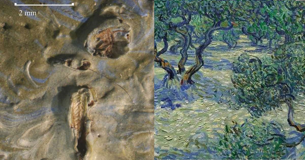 portada 37.jpg?resize=1200,630 - Descubren un animal atrapado en una pintura de Van Gogh, por más de 100 años