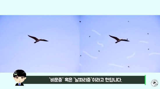 유튜브 ‘모아요’