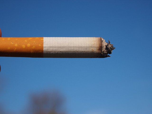 6447341369 db970e431f z 300x225 - Você não vai acreditar em tudo o que está consumindo ao fumar um cigarro!