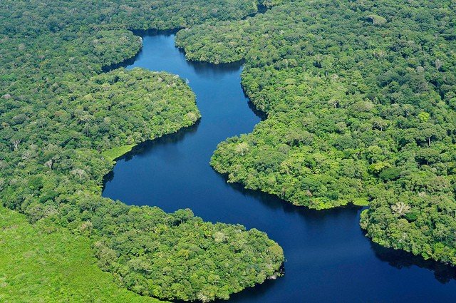 Image result for amazon river