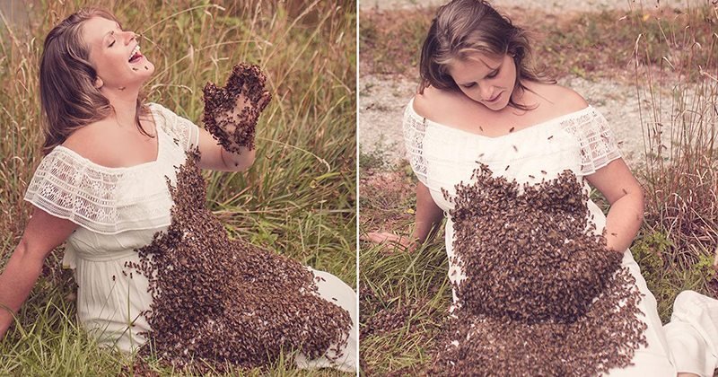 bees4.jpg?resize=412,232 - Grávida que fez sucesso nas redes sociais ao tirar foto do lado de abelhas compartilha uma notícia triste