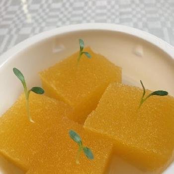 水耕栽培