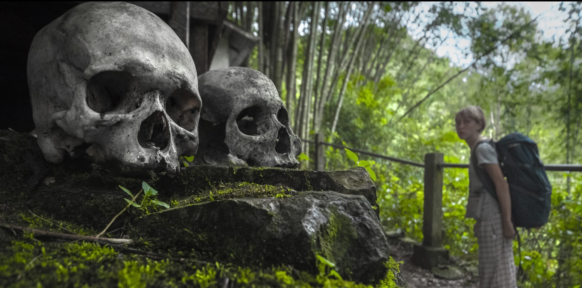 depositphotos 102182064 l 2015 e1515057355105.jpg?resize=412,232 - Na Indonésia, um estranho ritual retira os mortos de seus túmulos a cada 3 anos!