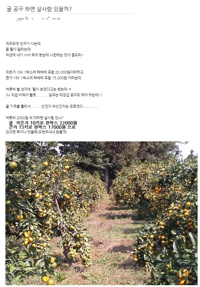 온라인커뮤니티