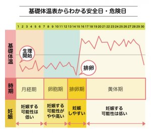 危険日 は必ずしも危険なわけではない Hachibachi