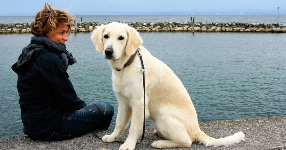 eca09cebaaa9 ec9786ec9d8c1 5.png?fit=1024%2C537&ssl=1&strip=all - New Study Confirmed That Humans Love Dogs More Than They Love Humans