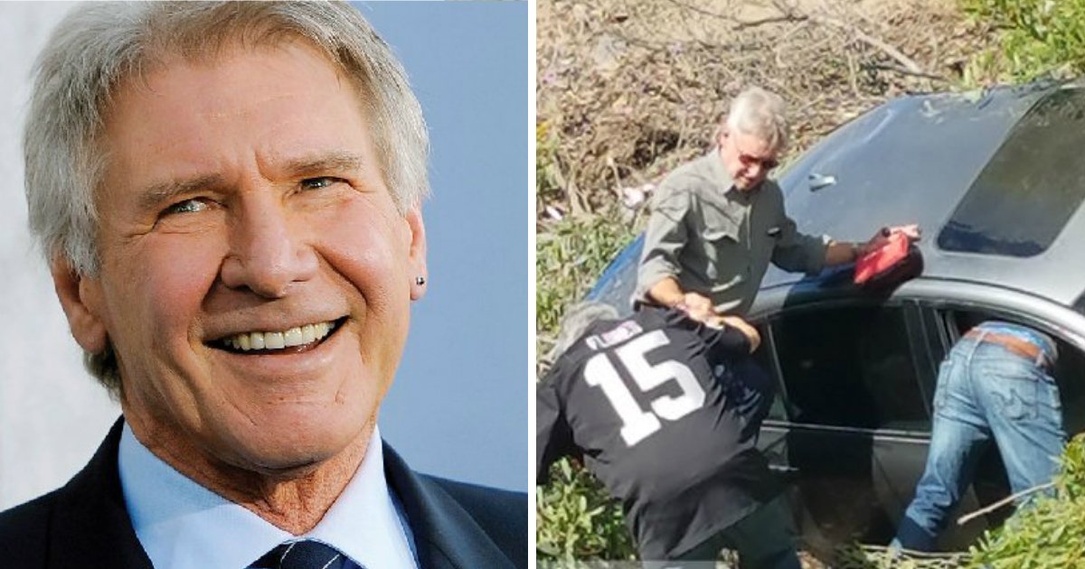 harrfin.jpg?resize=412,232 - Herói também fora das telas, Harrison Ford ajuda pessoas em acidente