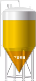 Image result for ビール　下面発酵