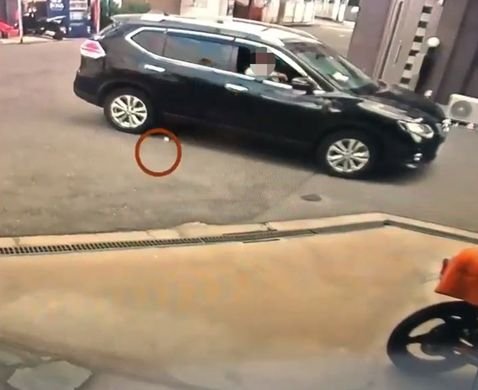 猫をエアガンで撃った容疑