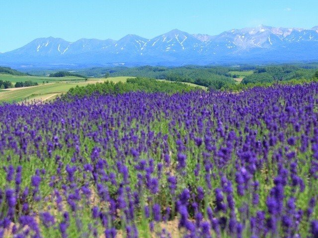 北海道
