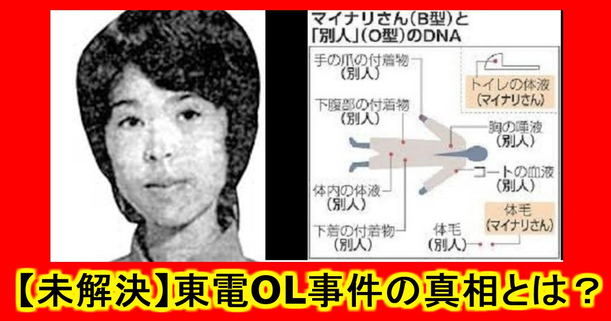 ショック 殺人事件注意 東電ol殺人事件の真相とは 真犯人は Hachibachi