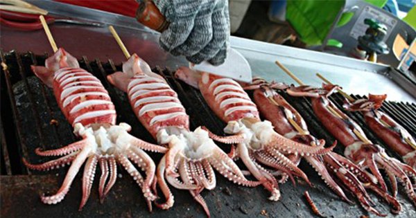 korean-womans-mouth-gets-impregnated-with-squid-babies-4