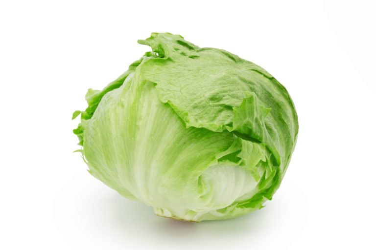 lettuce 768x512.jpg?resize=1200,630 - レタスの鮮やかな緑が映える！絶品鶏ガラスープ