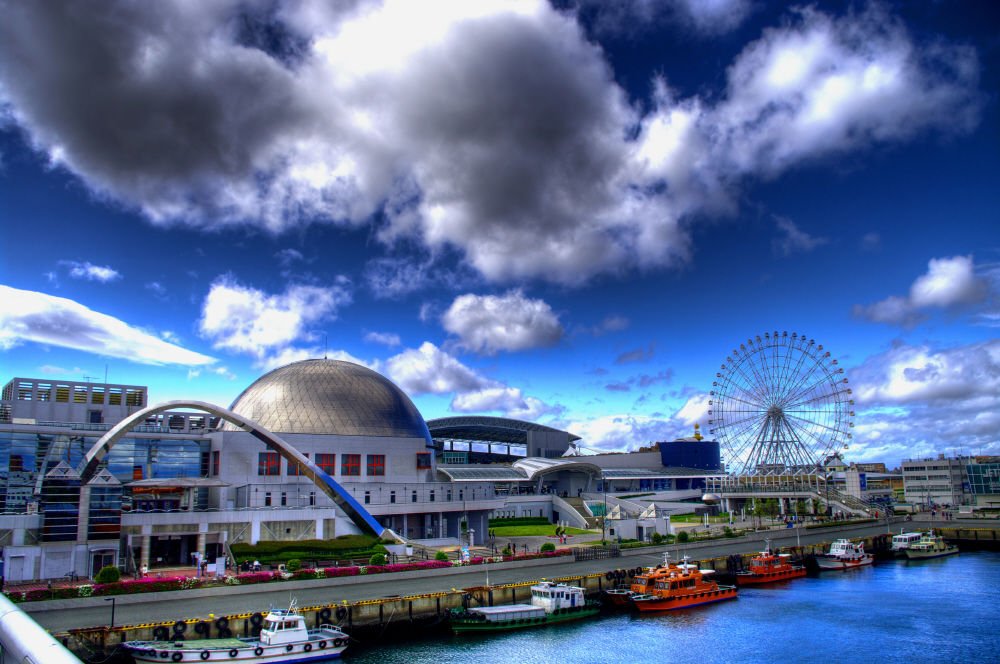 名古屋 港 水族館 デート