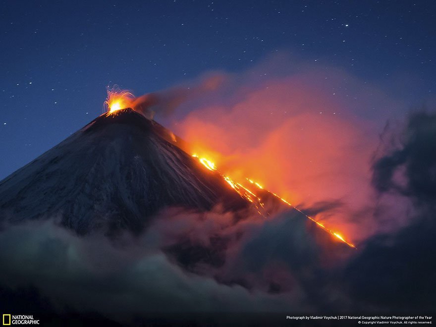 Crédit photo : National Geographic / Vladimir Voychuck