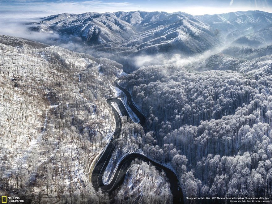 Crédits photo : National Geographic / Calin Stan