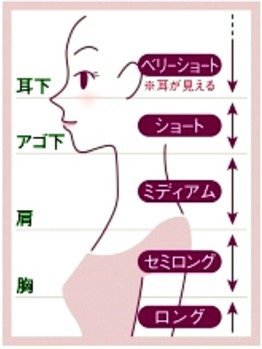 ミディアムロングの特徴は 似合うパーマ徹底研究 Hachibachi