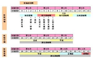 妊娠初期で鮮血の出血があった場合はどんな時 Hachibachi 妊娠初期で鮮血の出血があった場合はどんな時 Hachibachi