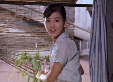 吉永小百合は若い頃から正統派美人だった 厳選画像まとめ Hachibachi 吉永小百合は若い頃から正統派美人だった 厳選画像まとめ Hachibachi