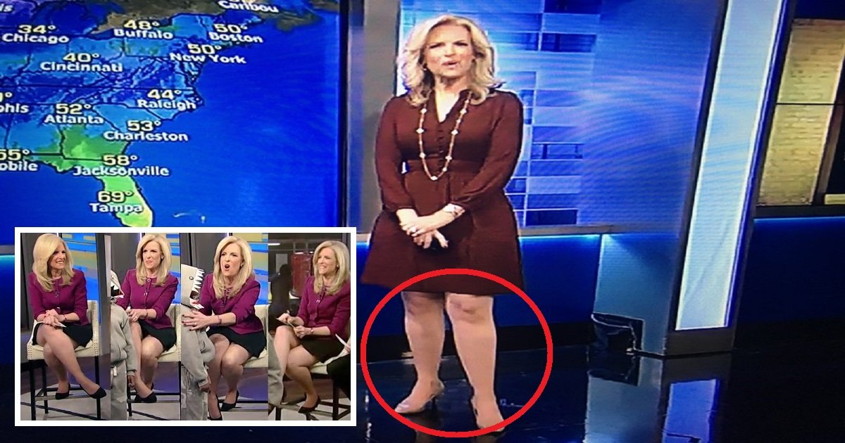 2017 11 29 janice dean rust flare dress.jpg?resize=1200,630 - Meteorologist Janice Dean Got Bullied By Audience Because Her Legs Are 'Too Big For TV'