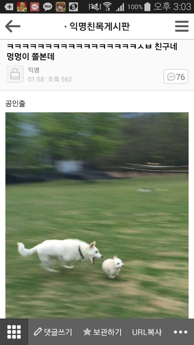 소울드레서
