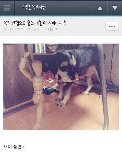 소울드레서